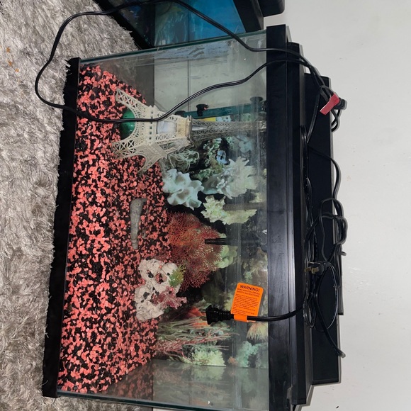 Medium size fish tank - Picture 2 of 2